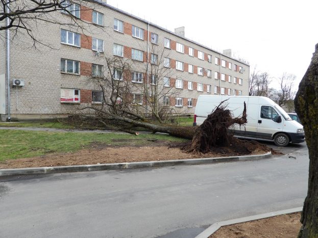 Ветрено в городе в апреле